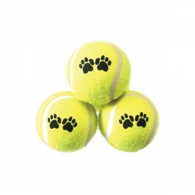 Dog Fetch Tennis Balls